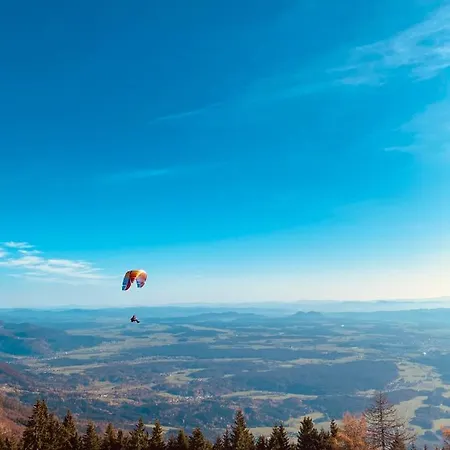 Апартаменты Beewood *